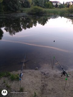 IMG_20210903_192237805.jpg