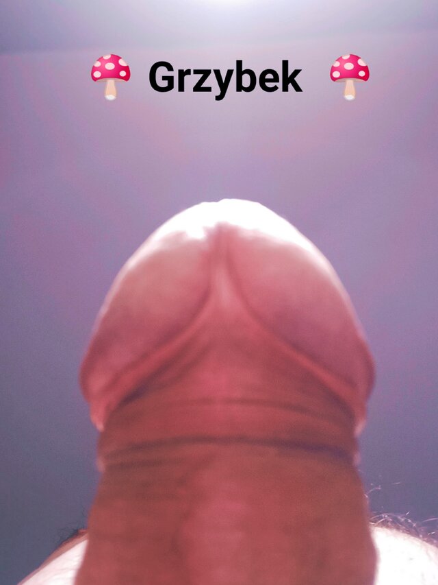 shrek707