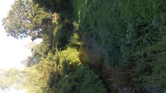 20210907_174604.jpg