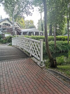 IMG_20210907_183624.jpg