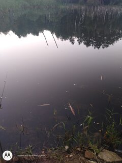 IMG_20210908_190504032.jpg