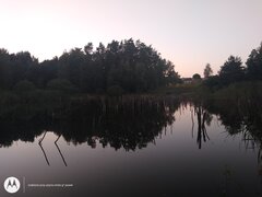 IMG_20210908_190520350.jpg