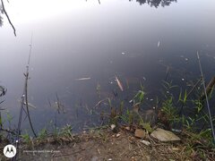IMG_20210908_190512067.jpg