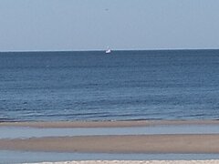 IMG_20210909_153802780.jpg