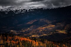 Złota jesień 40.jpg