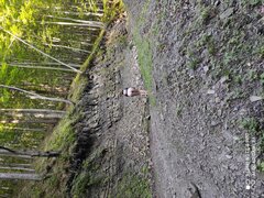 IMG_20210814_091730.jpg