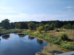 IMG_20210911_151021.jpg