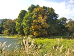 IMG_20210911_145904.jpg