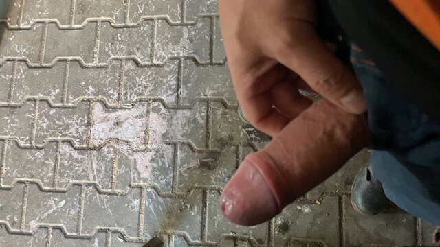 microsystem