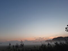 20210911_192922.jpg