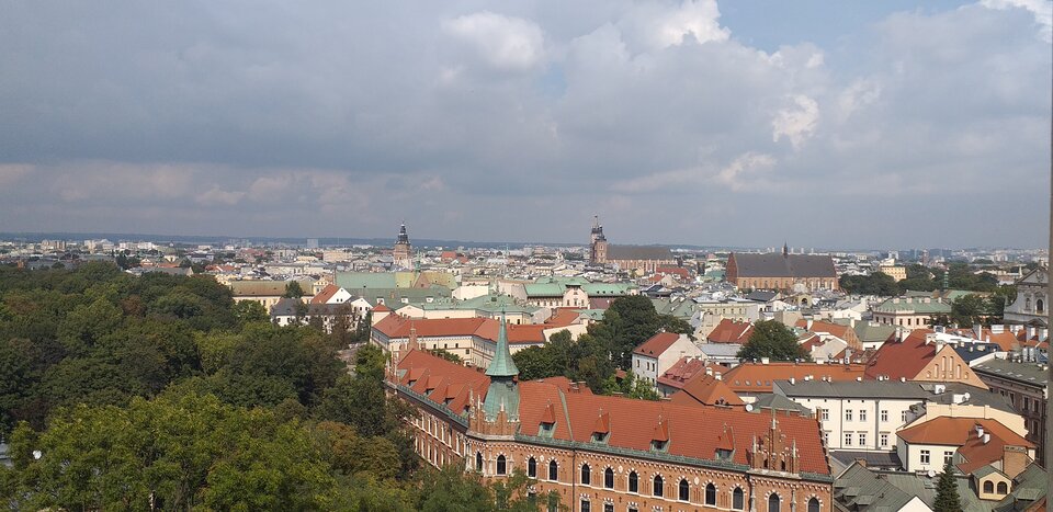 20210913_125554.jpg - Koralik66