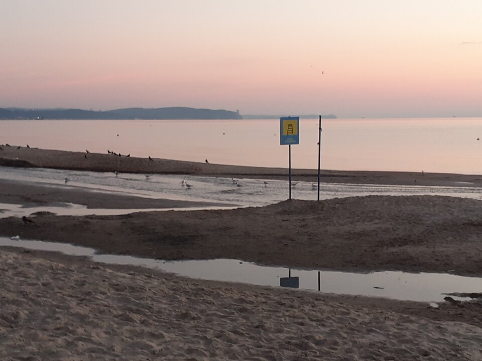 20210711_041456.jpg - Piotr40gd