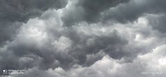 IMG_20210712_183141.jpg