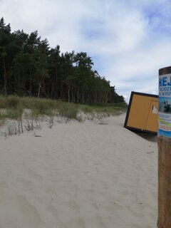 IMG_20210914_115956.jpg