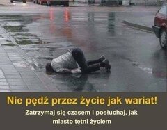 76265.jpg