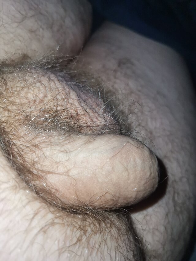 sivacon45