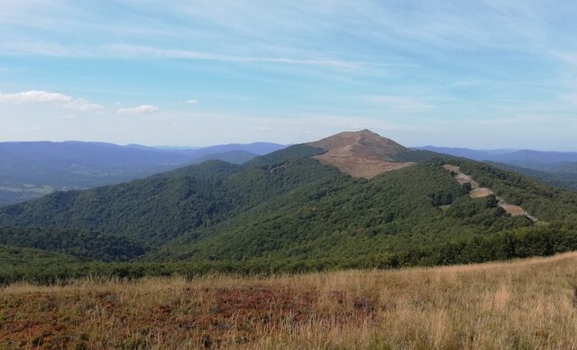 2.jpg - Dyskretny_37wawa