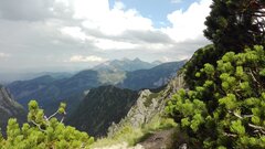 IMG_20160809_153737.jpg