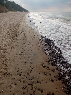 IMG_20210912_164128.jpg