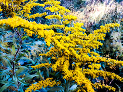20190306_042946.jpg
