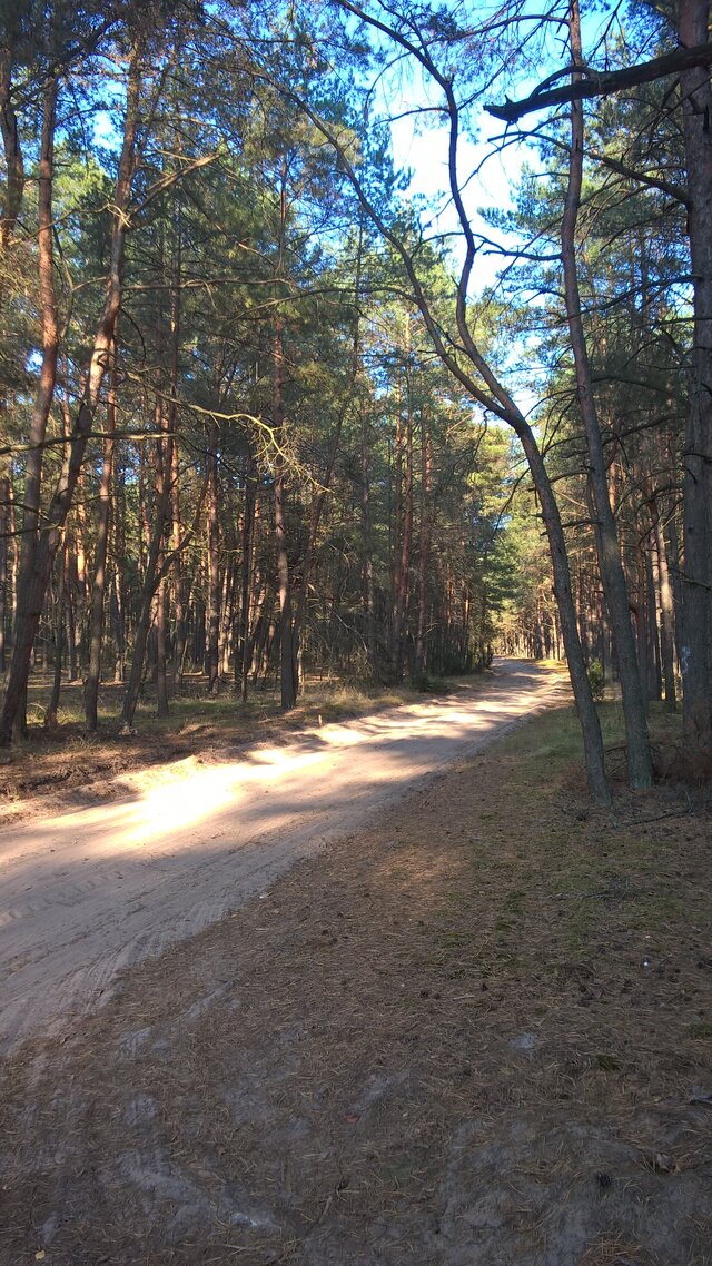 Zielonookaa20