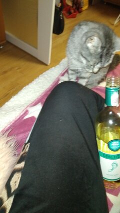 20210921_233207.jpg