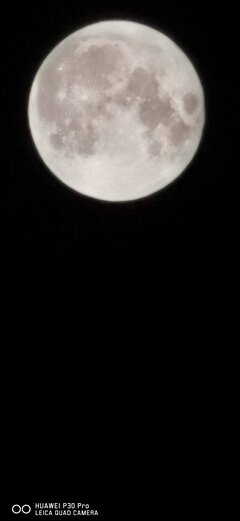 IMG_20210921_233254.jpg