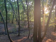 7043416B-9E0B-4C4F-8535-EC7B8B6EBE4D.jpeg