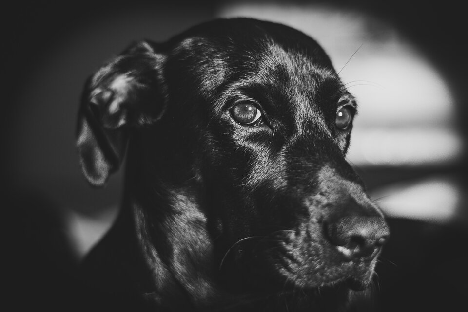 B/W - mystic