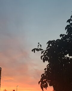 20210924_082738.jpg