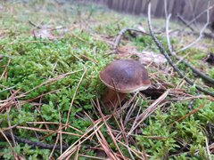 20210922_163641.jpg
