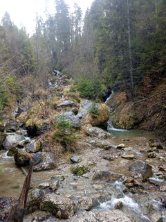 IMG_20201225_124132.jpg