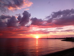 IMG_20210808_202546.jpg