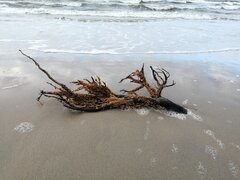IMG_20210925_163624.jpg