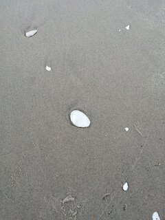 IMG_20210925_162033.jpg