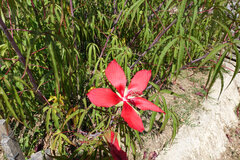 DSC00317.JPG