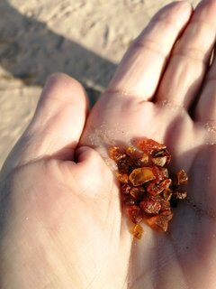 IMG_20210926_162018.jpg
