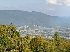 IMG20210926151519~2.jpg
