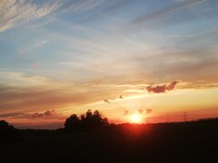 IMG_20210928_190433.jpg