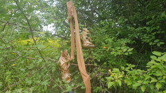 20210822_135912.jpg