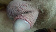 DSC_0102.jpg