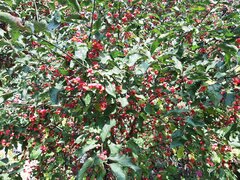 20210929_125216.jpg