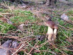 20210929_112433.jpg