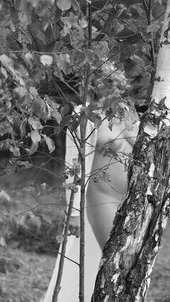 DSC05093-01.jpeg