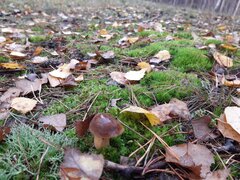 20210929_105744.jpg