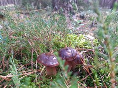 20210929_114830.jpg