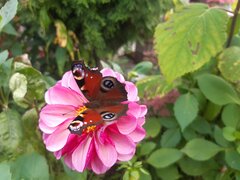 20210926_134334.jpg