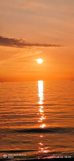 IMG_20210918_184919.jpg