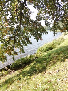 IMG_20211002_130433.jpg