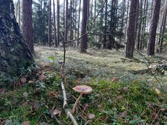 20210929_122017.jpg